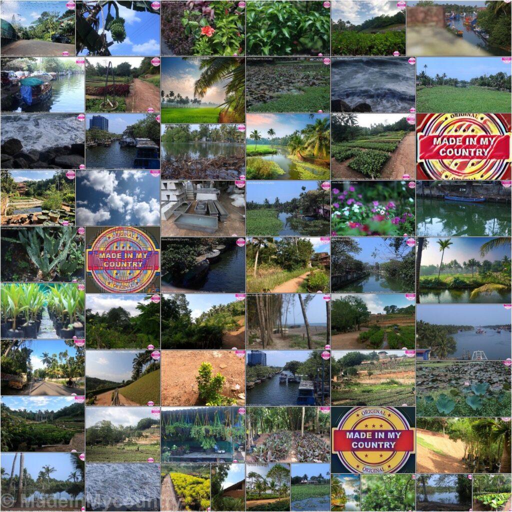 MadeinMycountry India! MadeinMycountry is a global platform that celebrates and supports local history, culture, art and nature conservation efforts.